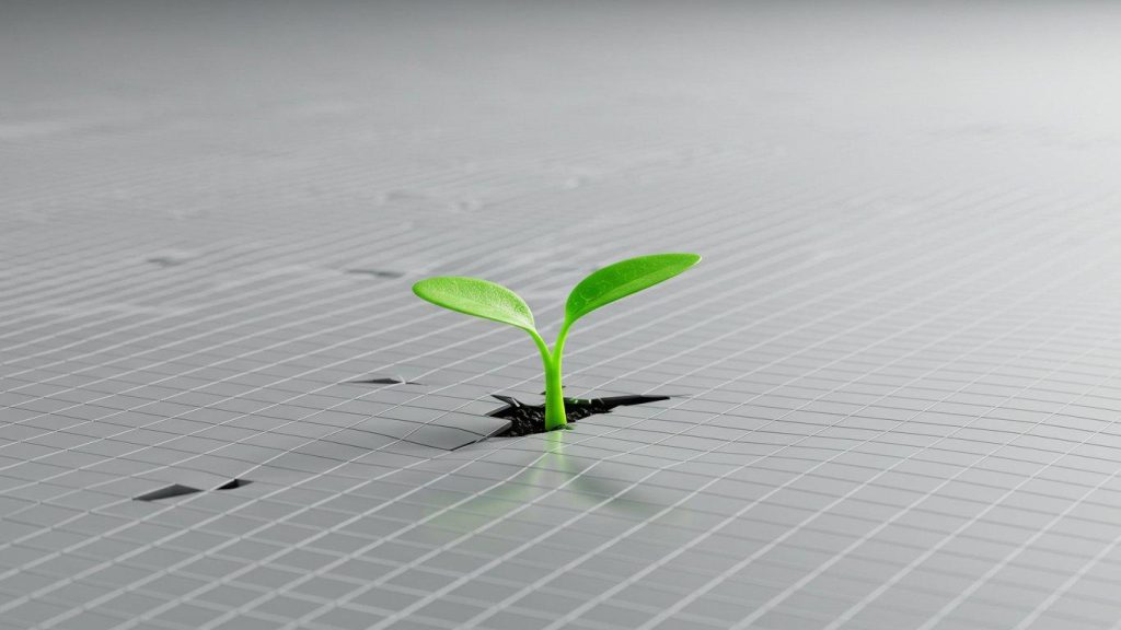 planirovanie i razvitie malogo biznesa v internete 2